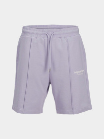 Шорти JACK & JONES модель 12252251_Cosmic Sky Фото