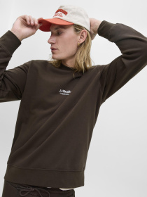 Свитшот JACK & JONES модель 12278791_Delicioso Фото