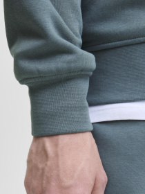 Свитшот JACK & JONES модель 12278791_Stormy Weather Фото