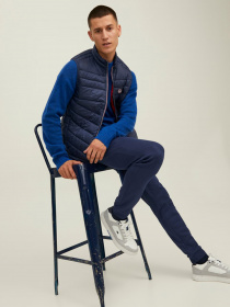 Джоггеры JACK & JONES модель 12211027_Navy Blazer Фото