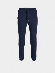 Джоггеры JACK & JONES модель 12211027_Navy Blazer Фото