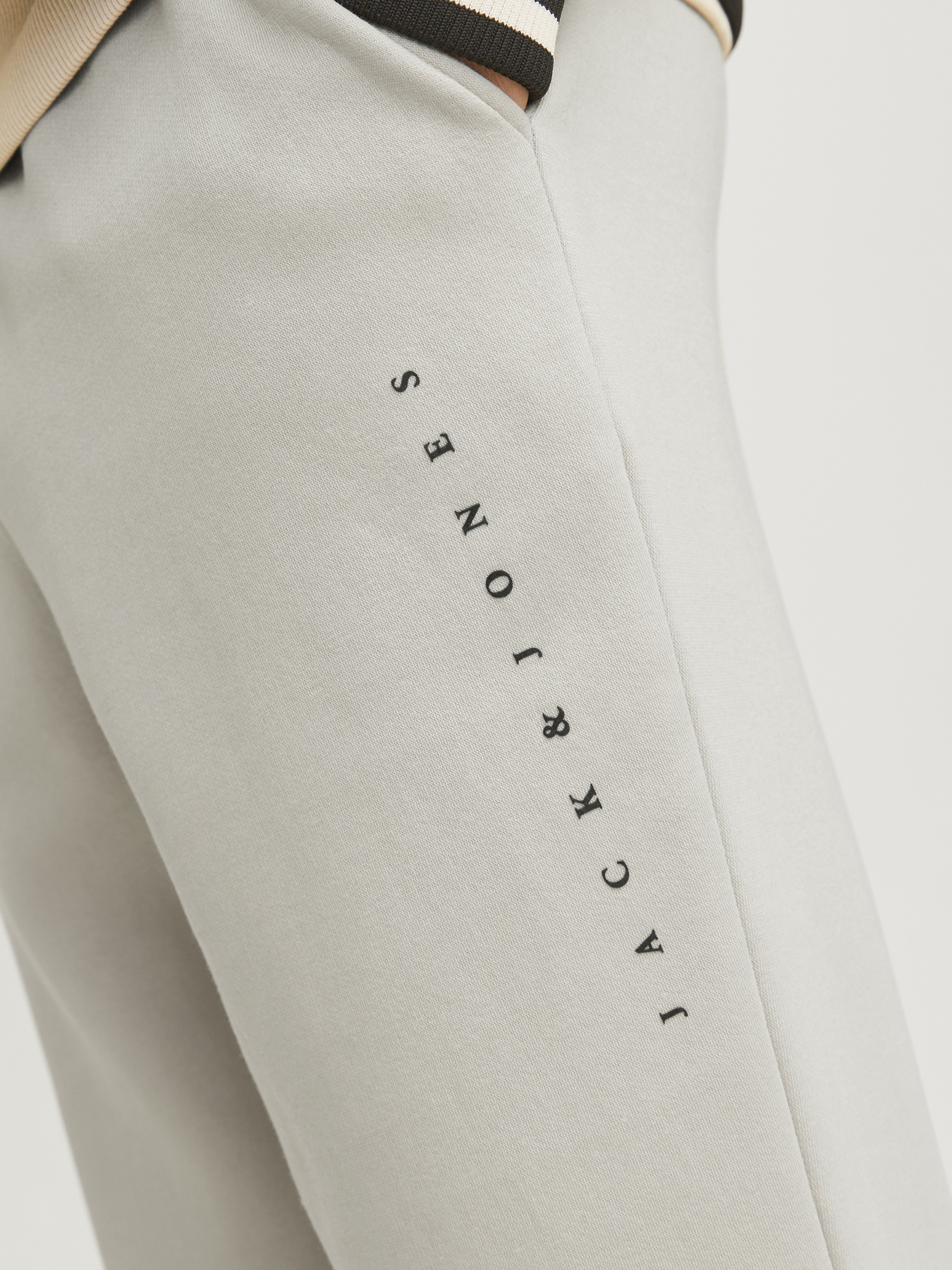 Джогери JACK & JONES модель 12248838_Moonbeam Фото