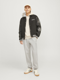 Джогери JACK & JONES модель 12248838_Moonbeam Фото