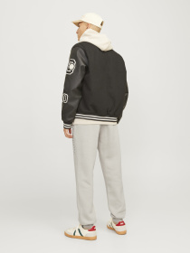 Джогери JACK & JONES модель 12248838_Moonbeam Фото