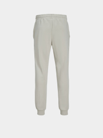 Джогери JACK & JONES модель 12248838_Moonbeam Фото