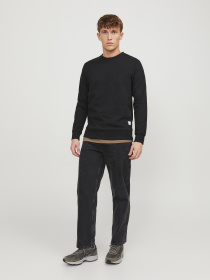 Свитшот JACK & JONES модель 12181903_Black REG Свитшот JACK & JONES модель 12181903_Black REG Фото