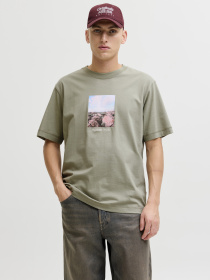Футболки и поло JACK & JONES NORREBRO PHOTO TEE модель 12291022_Seagrass Фото