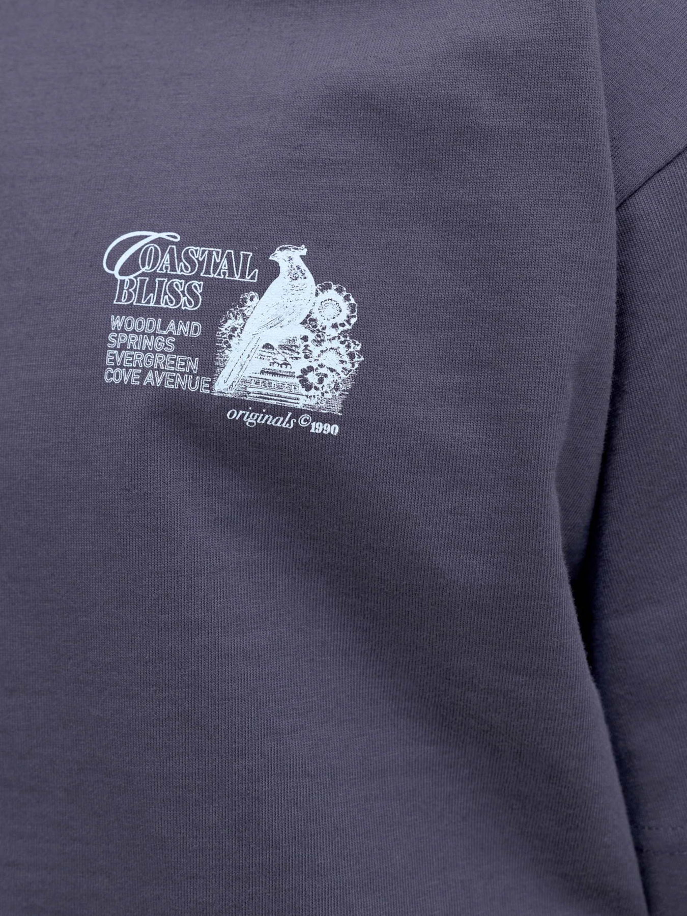 Футболка JACK & JONES модель 12291780_Odyssey Gray Фото