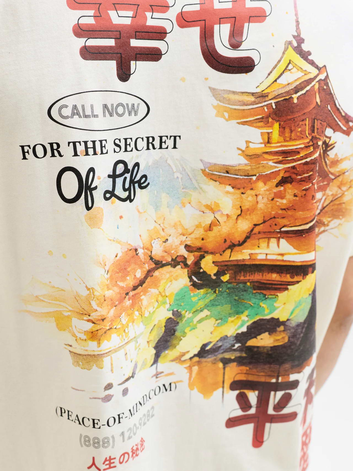 Футболка JACK & JONES модель 12293428_Antique White RED AW Футболка JACK & JONES модель 12293428_Antique White RED AW Фото