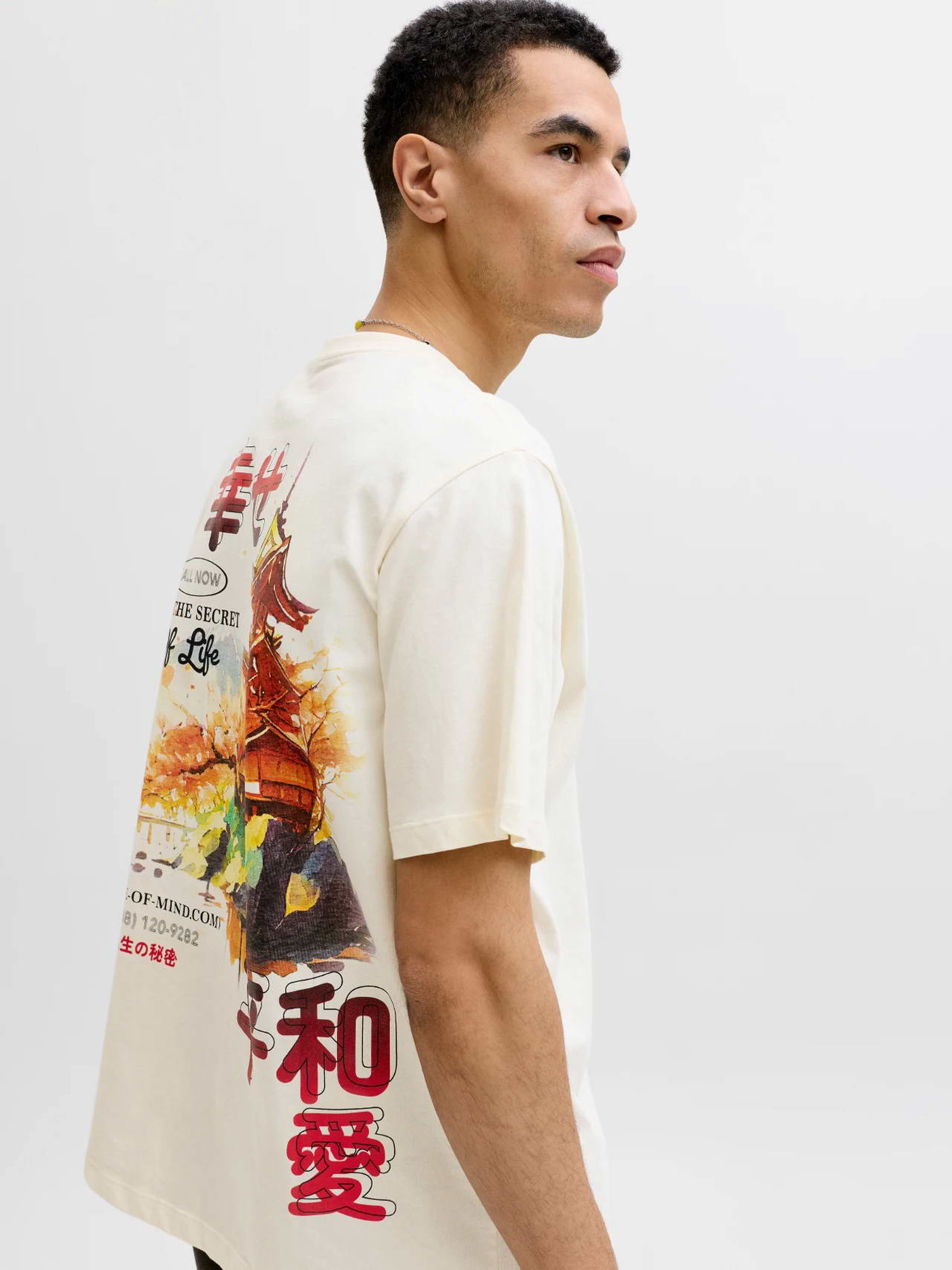 Футболка JACK & JONES модель 12293428_Antique White RED AW Футболка JACK & JONES модель 12293428_Antique White RED AW Фото