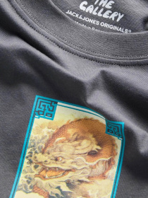 Футболки и поло JACK & JONES BIG JAPAN TEE модель 12293428_Asphalt Фото