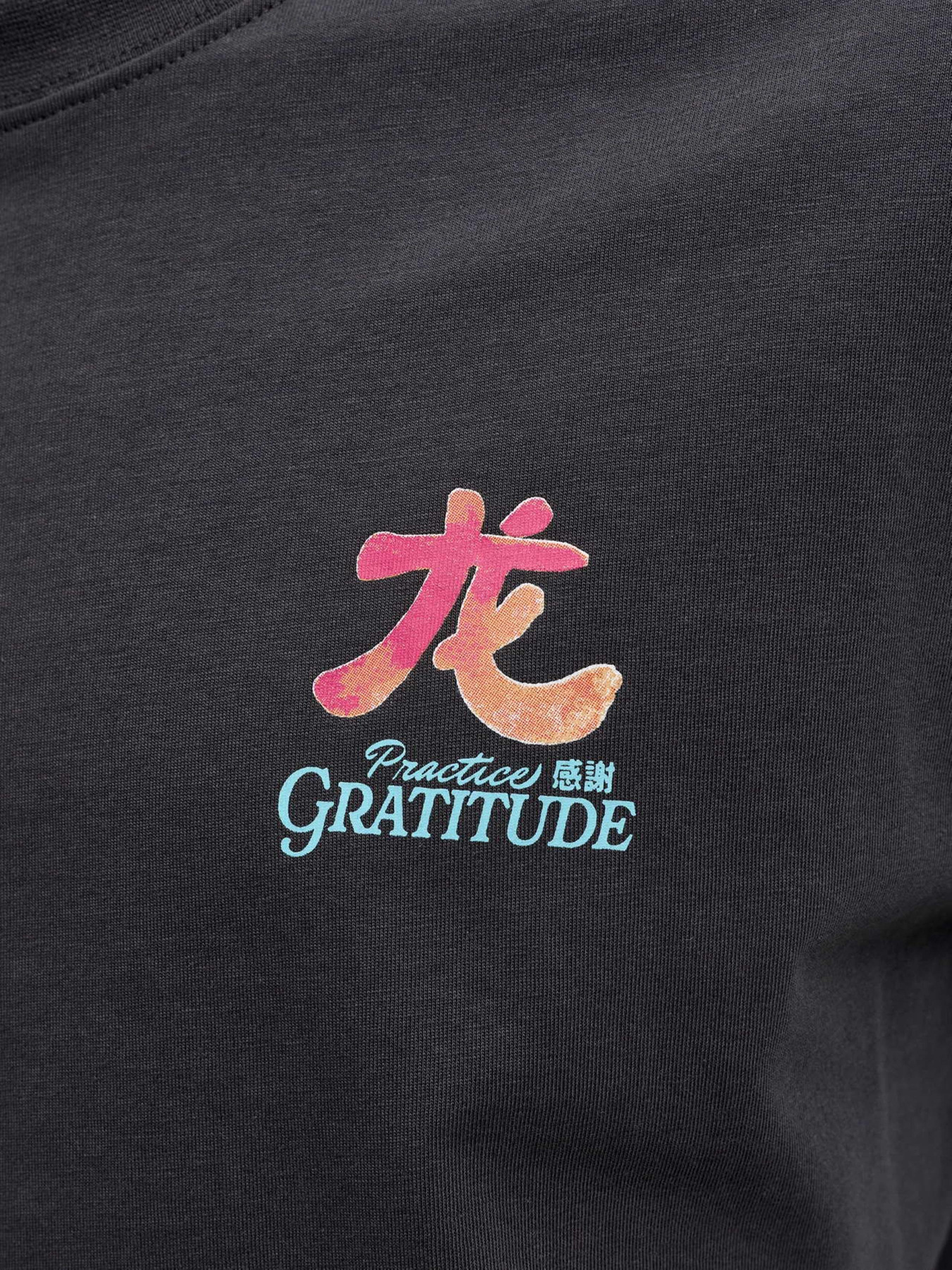 Футболка JACK & JONES модель 12293428_Phantom Фото