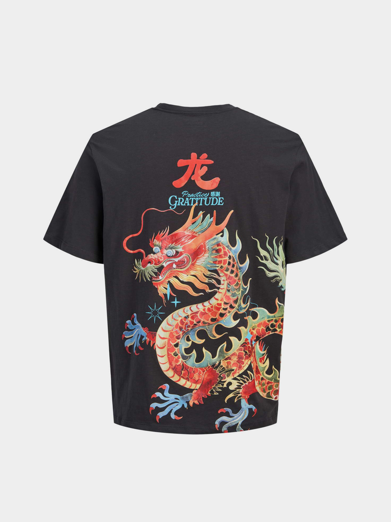 Футболка JACK & JONES модель 12293428_Phantom Фото