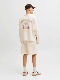 Повседневные шорты JACK & JONES модель 12292565_Antique White Повседневные шорты JACK & JONES модель 12292565_Antique White Фото