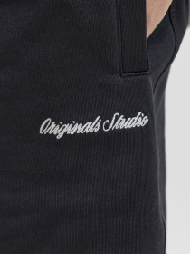 Шорти JACK & JONES KARL NORREBRO SWEAT SHORTS модель 12292565_Black Фото