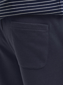Шорты JACK & JONES GORDON BRADLEY SWEAT SHORTS модель 12249285_Navy Blazer Фото