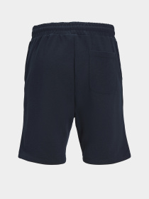 Шорты JACK & JONES GORDON BRADLEY SWEAT SHORTS модель 12249285_Navy Blazer Фото
