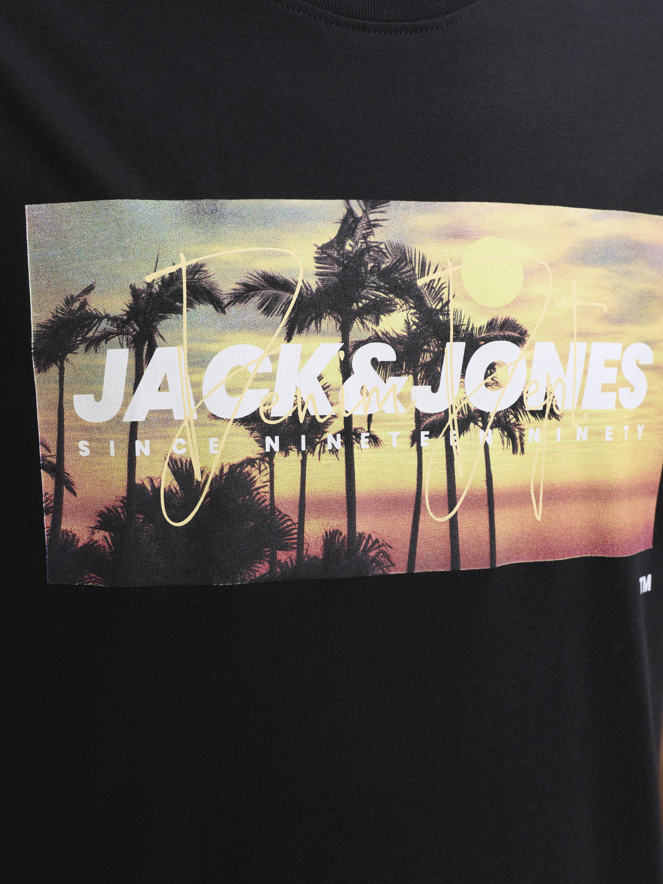 Футболки и поло JACK & JONES INDIANA TEE модель 12288112_Black Фото