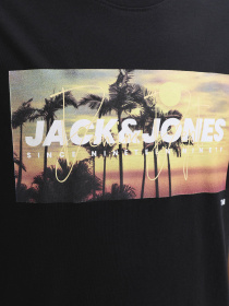 Футболки и поло JACK & JONES INDIANA TEE модель 12288112_Black Фото