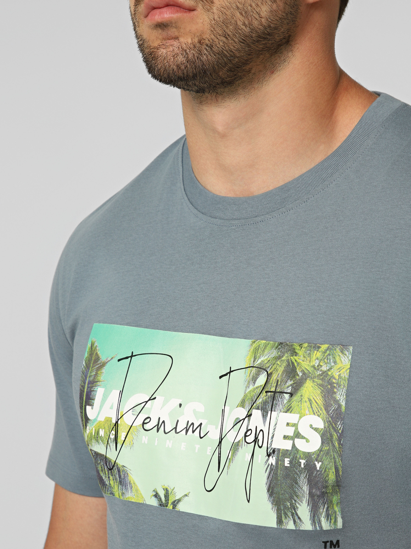 Футболки и поло JACK & JONES INDIANA TEE модель 12288112_Blue Mirage Футболки и поло JACK & JONES INDIANA TEE модель 12288112_Blue Mirage Фото