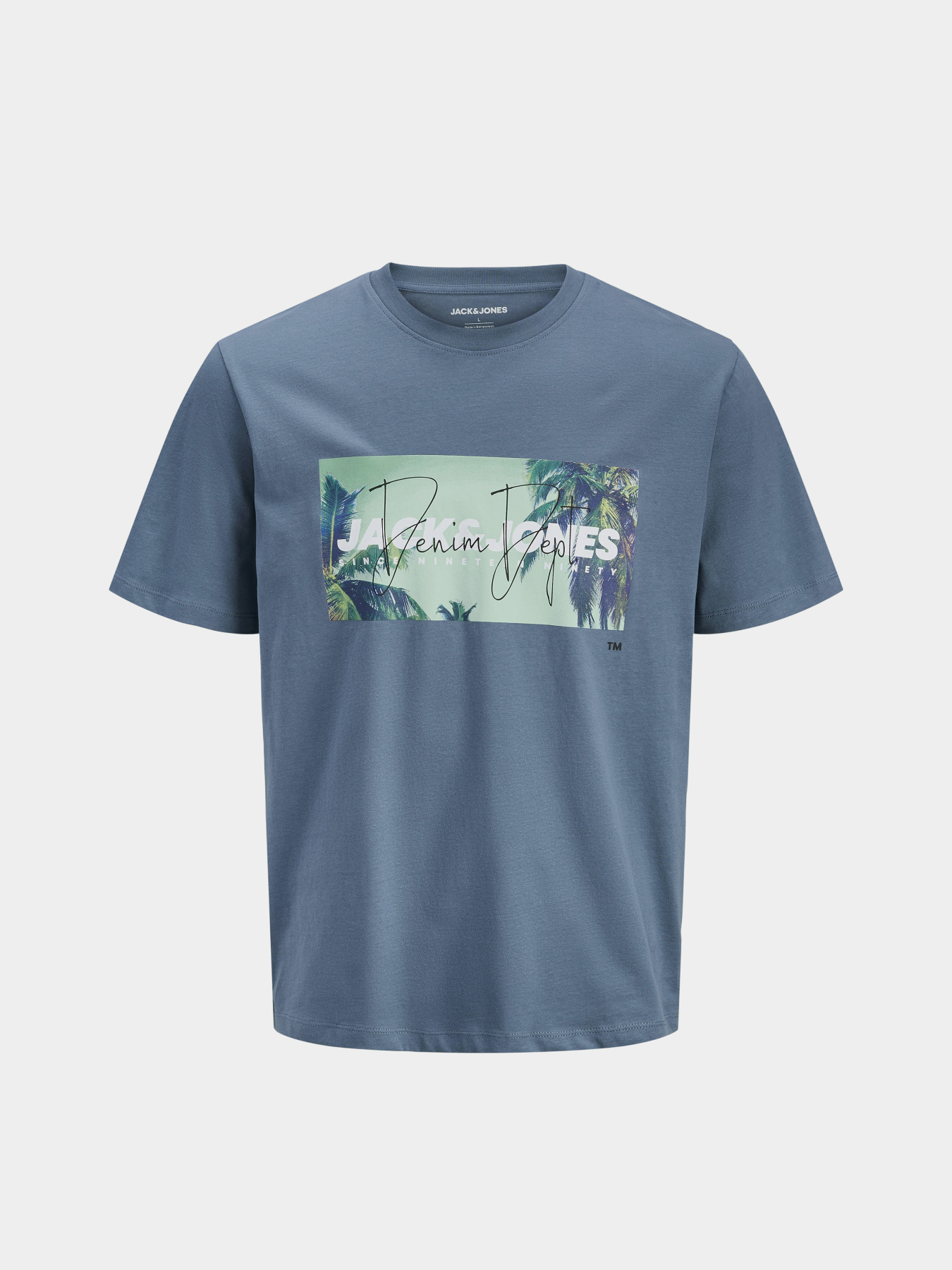 Футболки и поло JACK & JONES INDIANA TEE модель 12288112_Blue Mirage Фото