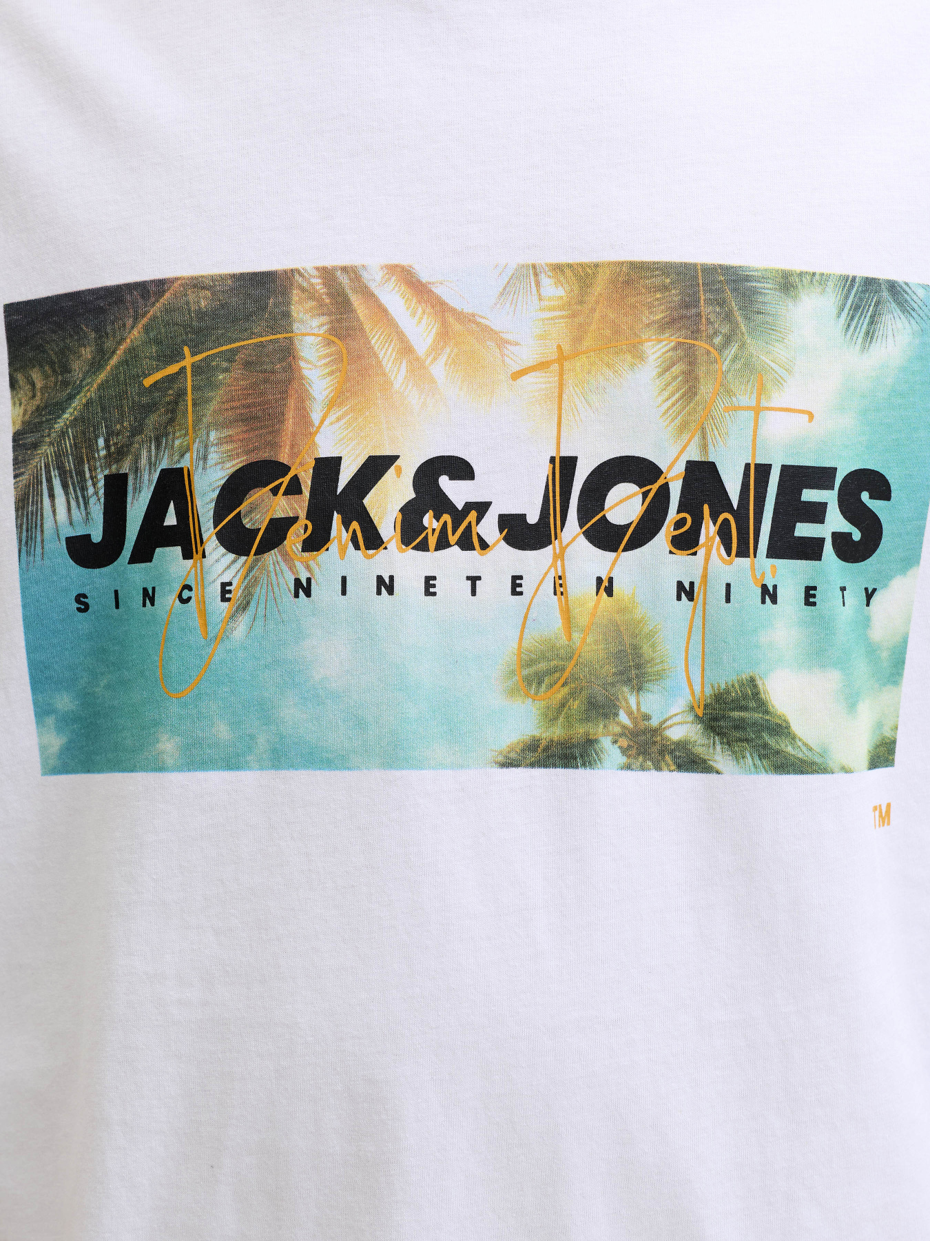 Футболки и поло JACK & JONES INDIANA TEE модель 12288112_Bright White Фото