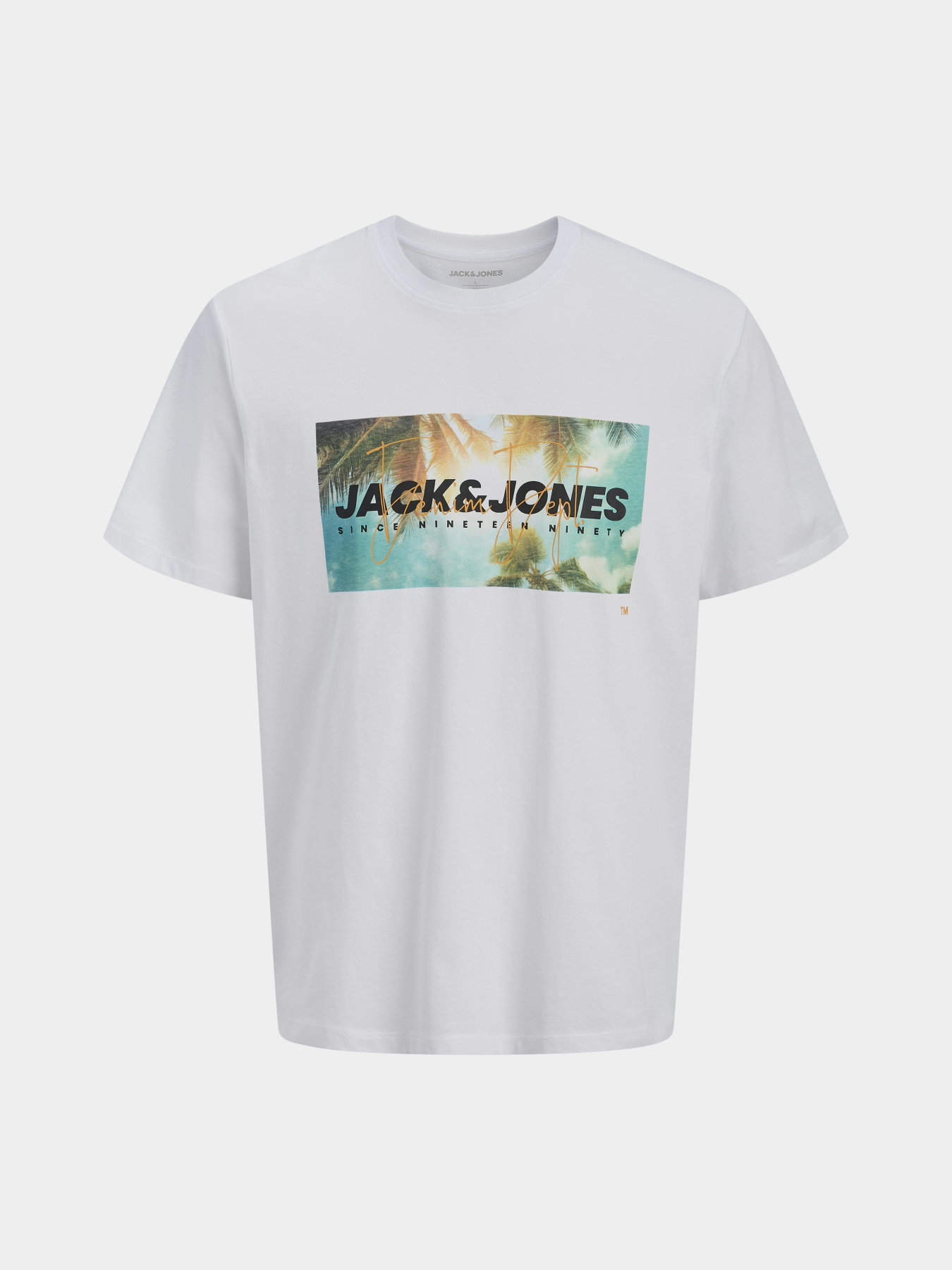 Футболки и поло JACK & JONES INDIANA TEE модель 12288112_Bright White Фото
