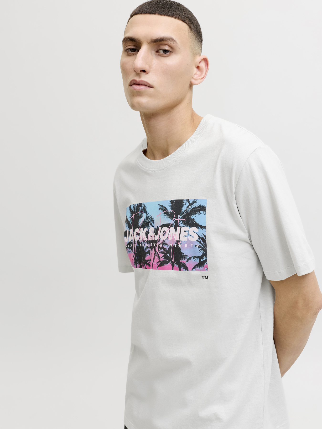 Футболки и поло JACK & JONES INDIANA TEE модель 12288112_Glacier Gray Фото