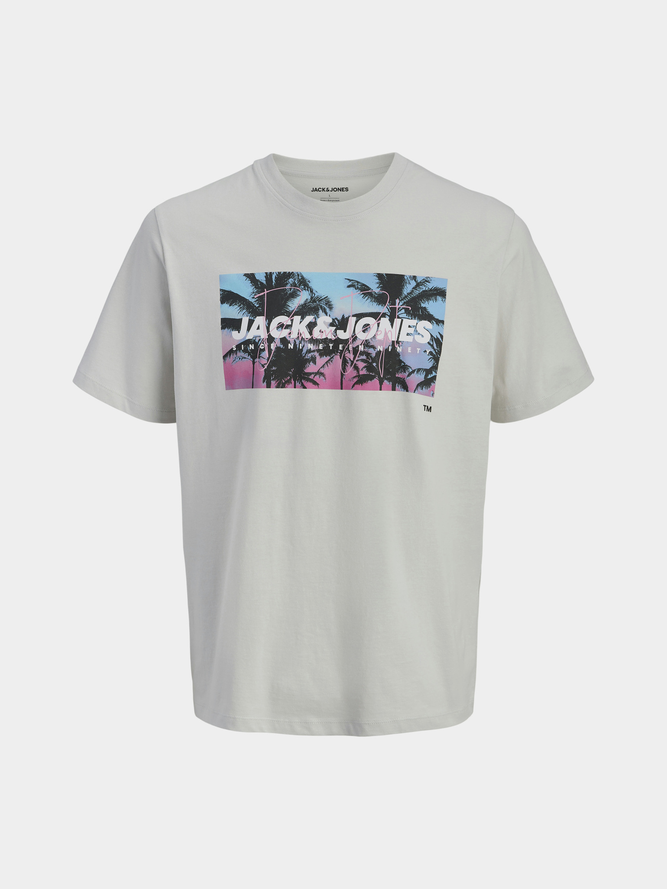 Футболки и поло JACK & JONES INDIANA TEE модель 12288112_Glacier Gray Фото