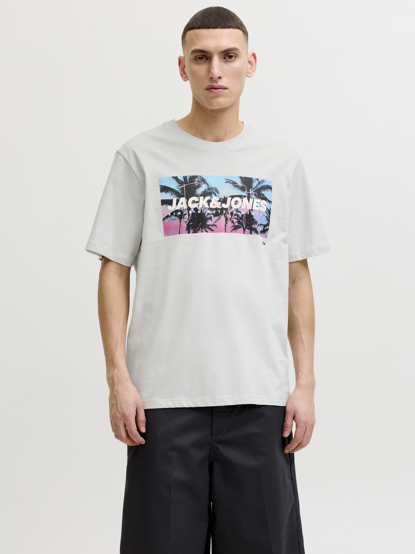 Футболки и поло JACK & JONES INDIANA TEE модель 12288112_Glacier Gray Фото