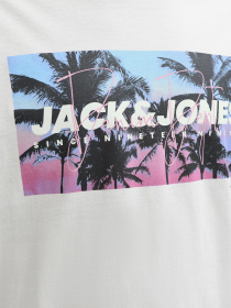 Футболки и поло JACK & JONES INDIANA TEE модель 12288112_Glacier Gray Фото