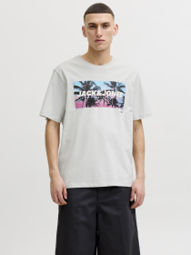 Футболки и поло JACK & JONES INDIANA TEE модель 12288112_Glacier Gray Фото