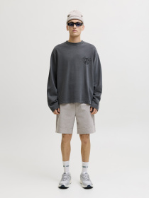 Шорты JACK & JONES GORDON BASE SWEAT SHORTS модель 12288632_Light Grey Melange Фото