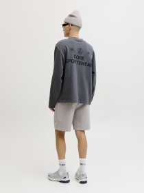 Шорты JACK & JONES GORDON BASE SWEAT SHORTS модель 12288632_Light Grey Melange Фото