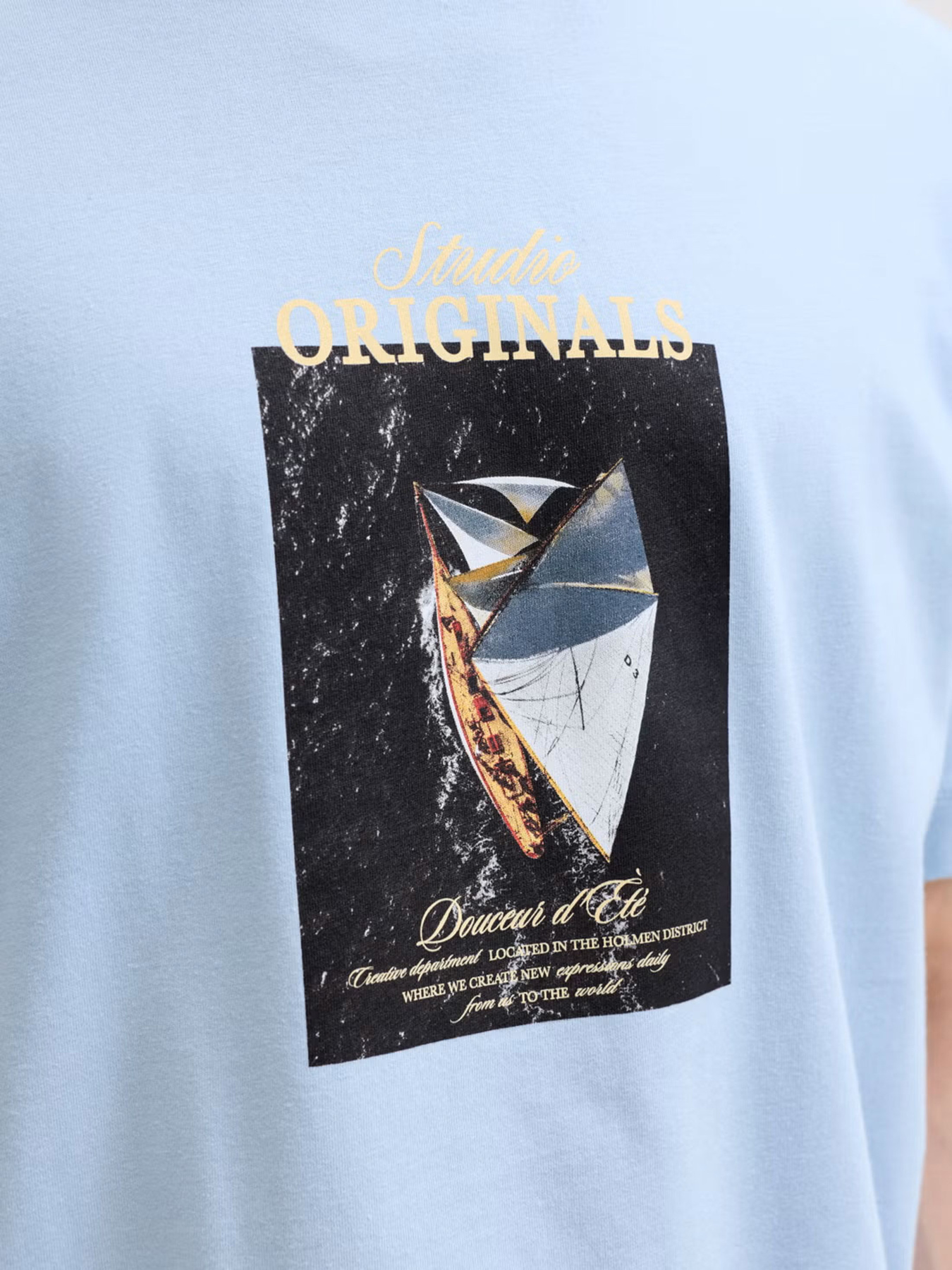 Футболки и поло JACK & JONES NORREBRO PHOTO TEE модель 12291022_Cashmere Blue Main2 26 Фото