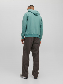 Худі JACK & JONES модель 12228603_Trellis Фото