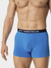Трусы Key модель MXH 290 A20 Чоловічі шорти-синий Фото