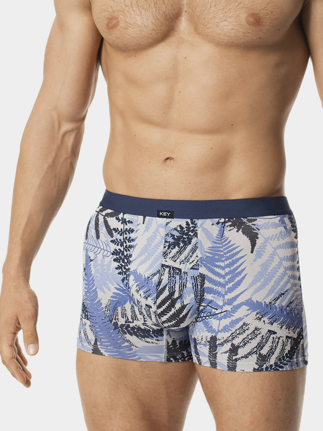 Трусы Key модель MXH 844 A20 Чоловічі шорти-меланж Фото