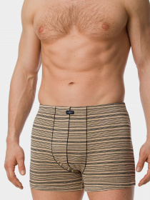 Трусы Key модель MXH 301 B20 Чоловічі шорти-бежевий Фото