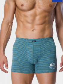 Труси Key модель MXH 073 A21 Чоловічі шорти-зеленый Труси Key модель MXH 073 A21 Чоловічі шорти-зеленый Фото