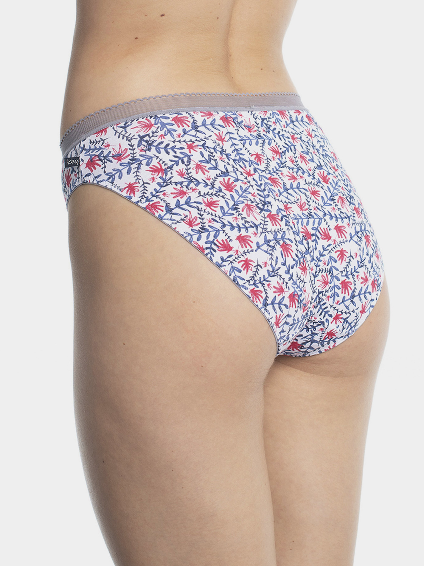 Набір трусів Key модель LPH 540 A20 Жіночі трусики-mix Фото