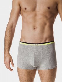 Труси Key модель MXH 268 B19 Чоловічі шорти-серый Труси Key модель MXH 268 B19 Чоловічі шорти-серый Фото