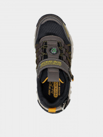 Кросівки повсякденні Skechers Velocitrek - Pro Scout модель 406423L CHBK Фото