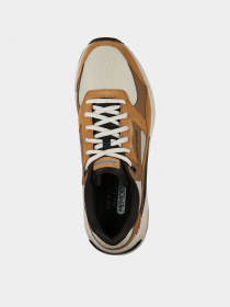 Кроссовки Skechers Global Jogger модель 237200 TAN Фото