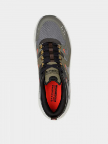 Кроссовки для бега Skechers GOrun Swirl Tech - Surge модель 220301 OLV Фото