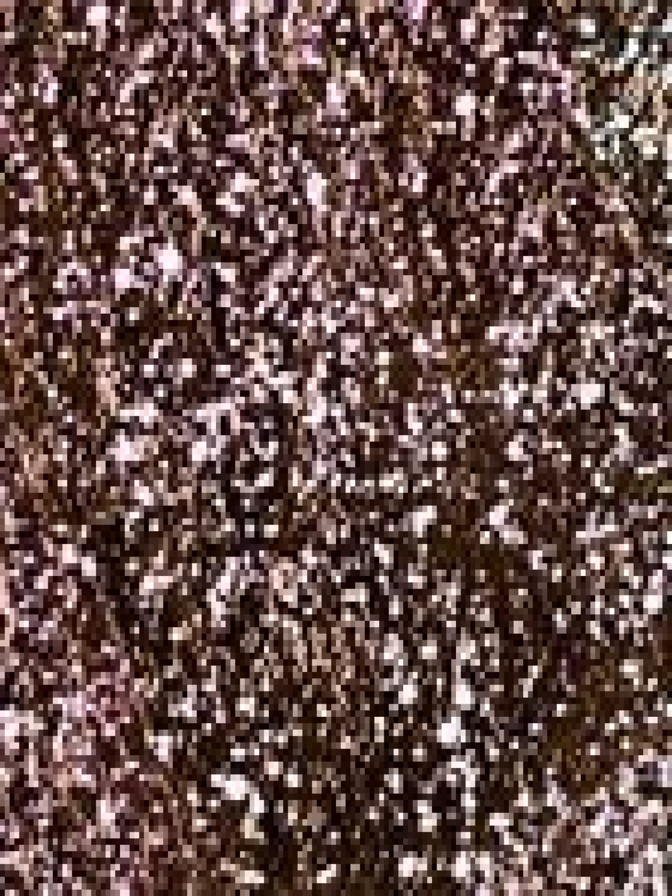 Тени для век KIKO MILANO модель KM000000040046B Фото