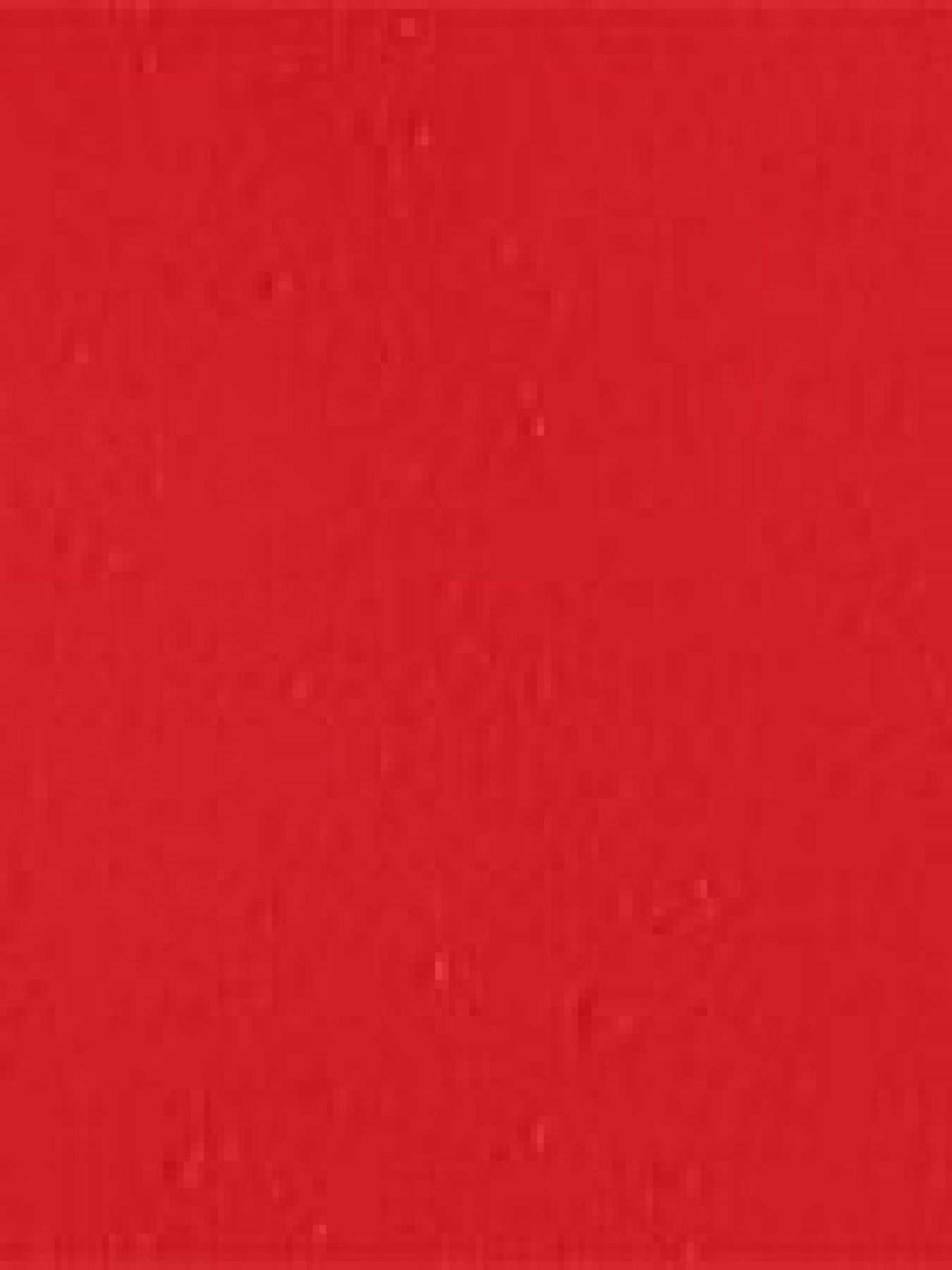 Матовая помада Velvet Passion Matte Lipstick KIKO MILANO модель KM130204044311A Фото