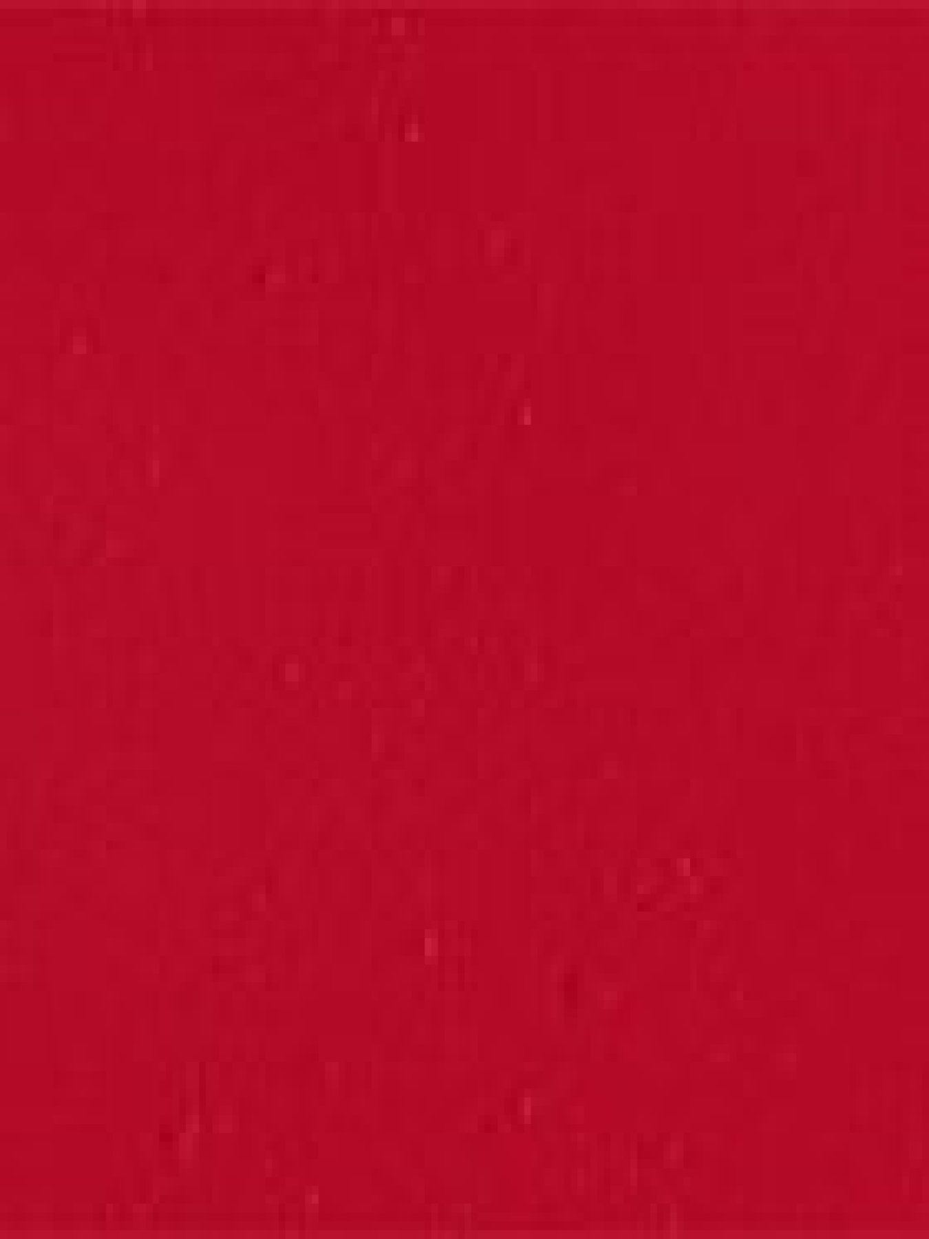 Матовая помада Velvet Passion Matte Lipstick KIKO MILANO модель KM130204044312A Фото