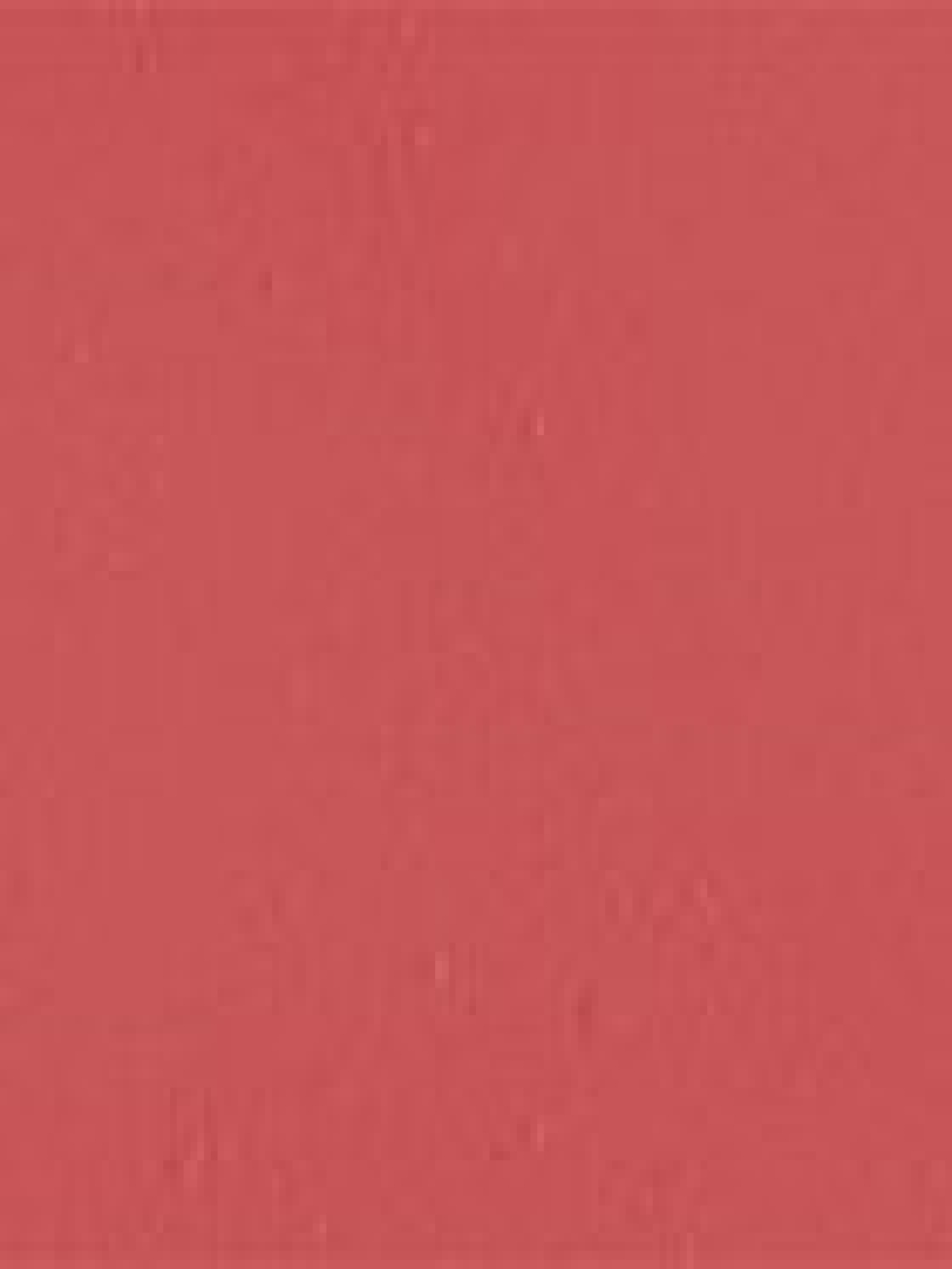 Матовая помада Velvet Passion Matte Lipstick KIKO MILANO модель KM130204044316A Фото