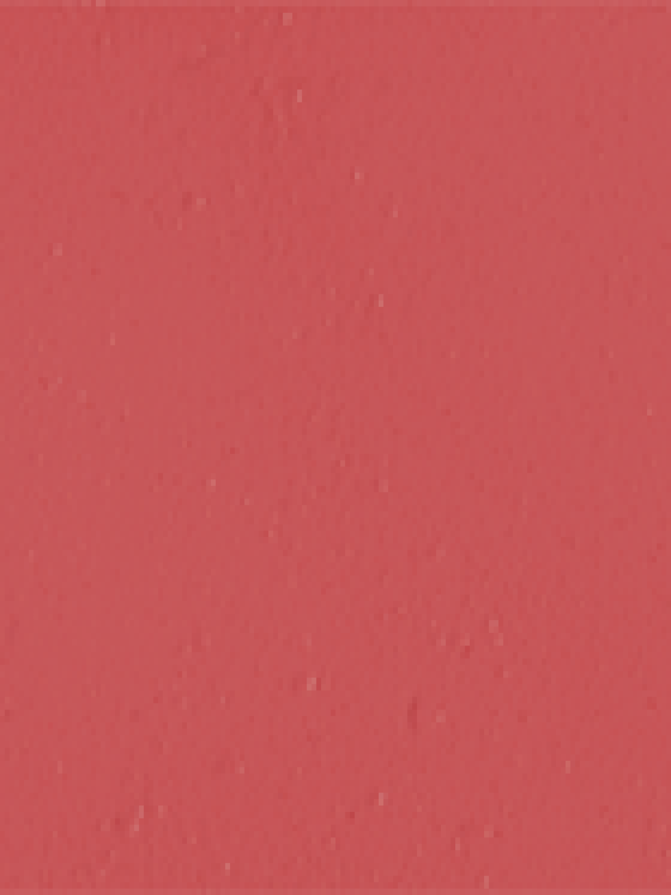 Матова помада Velvet Passion Matte Lipstick KIKO MILANO модель KM130204044316A Фото